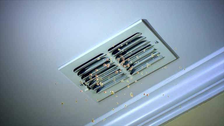 Best Best Air Duct Cleaning Company  in Allendale, MI