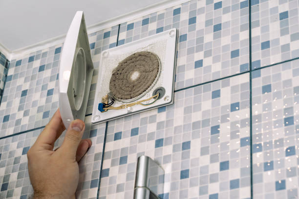 Best Ductwork Cleaning Services  in Allendale, MI