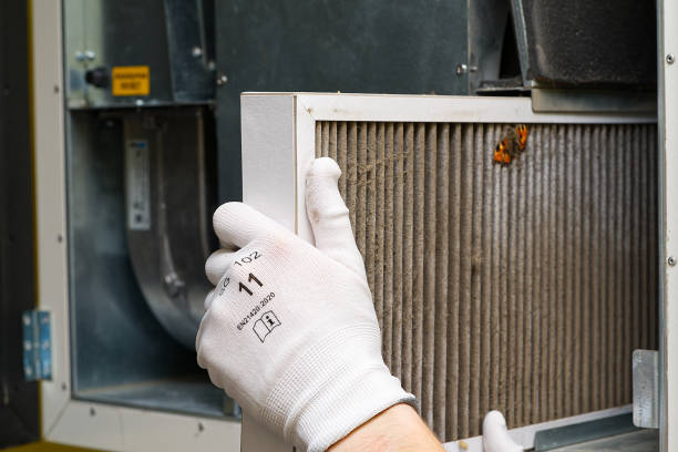 Best HVAC Duct Inspection Services  in Allendale, MI